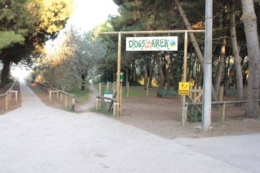 Camping Mare e Pineta  – Foto 12