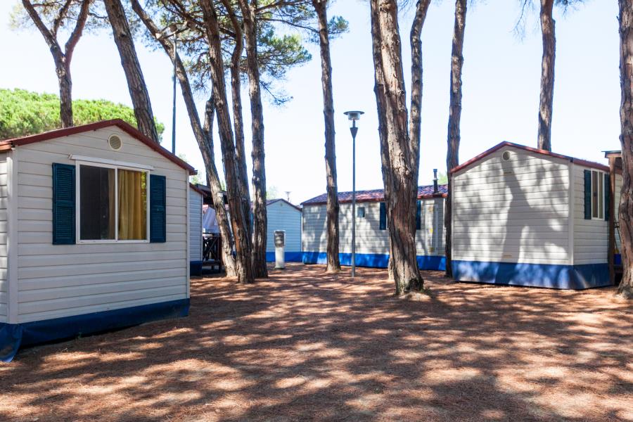 Camping Village Pineta sul Mare  – photo 4