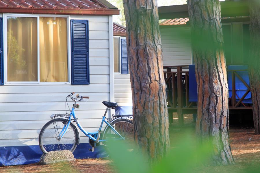 Camping Village Pineta sul Mare  – photo 7