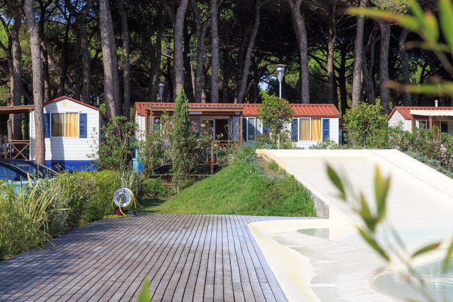 Camping Village Pineta sul Mare  – photo 9