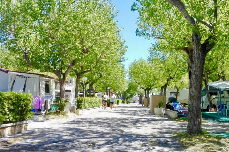 International Riccione Family Camping Village – Foto 3