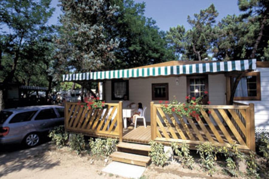 Pineta Family Camping Village – Foto 13