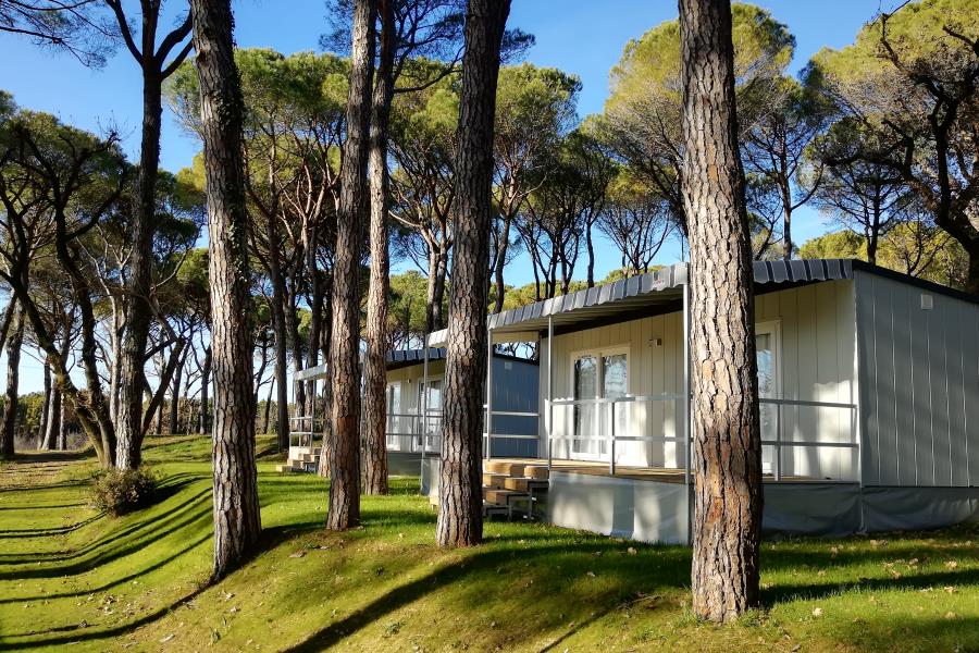 Camping Village Belvedere Pineta – foto 12