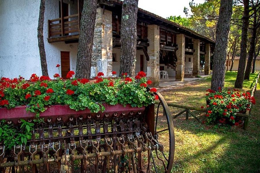Camping Village Belvedere Pineta – foto 1