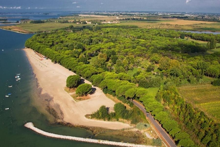 Camping Village Belvedere Pineta – foto 8