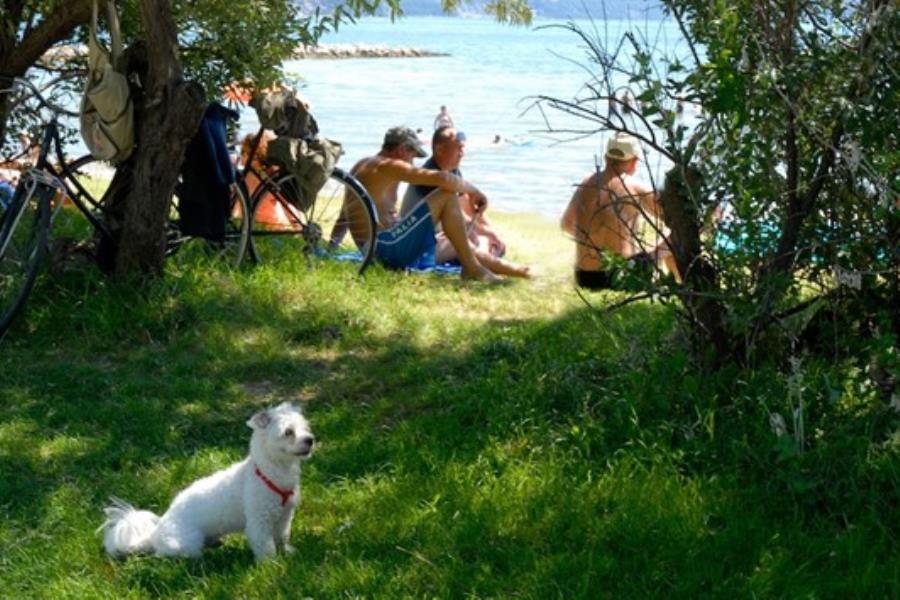 Marina Julia Family Camping Village – foto 10