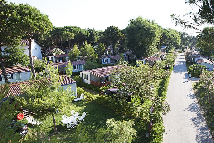 Camping Pino Mare  – foto 7