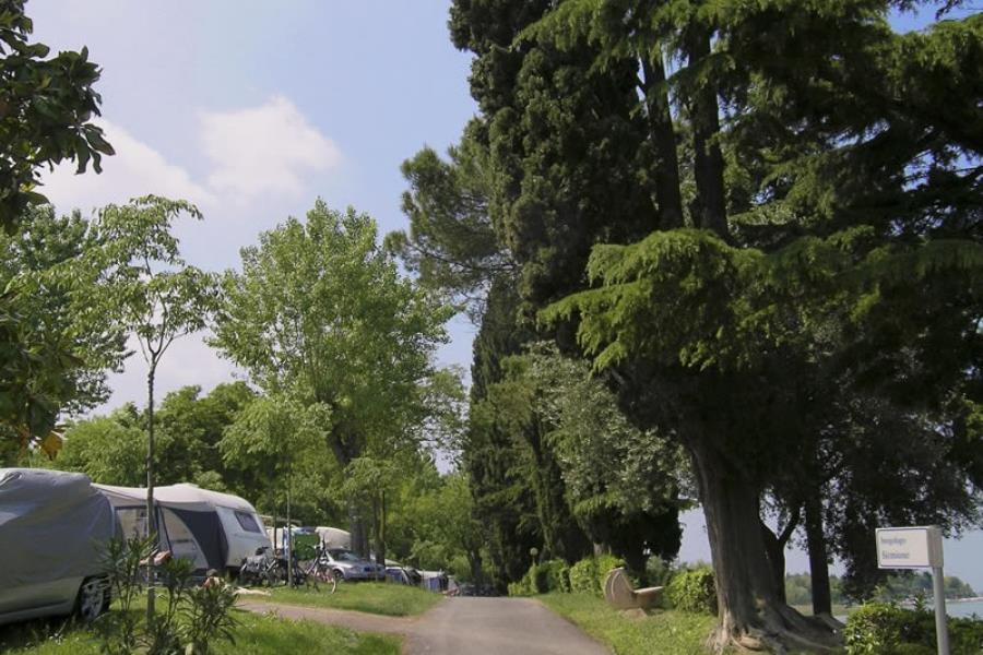 Campeggio Bella Italia  – Foto 5