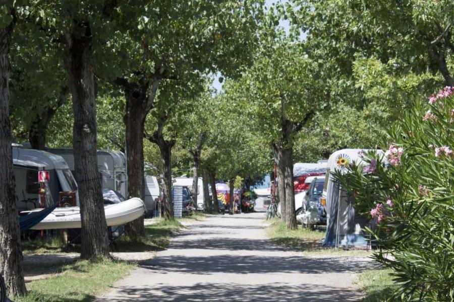 Camping Belvedere – foto 9