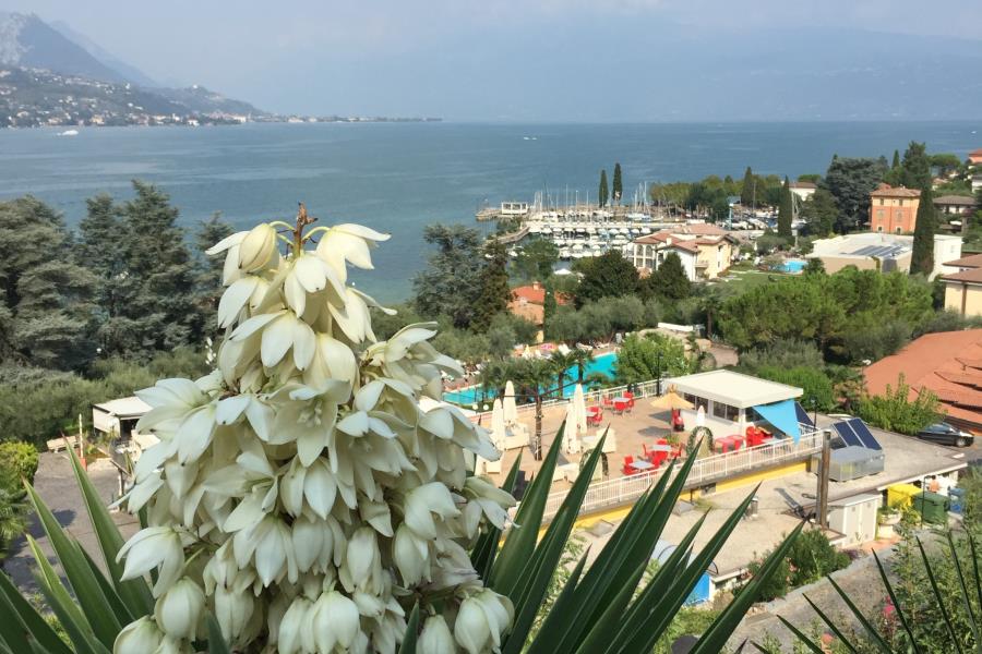 Villaggio Turistico Internazionale Eden – foto 5