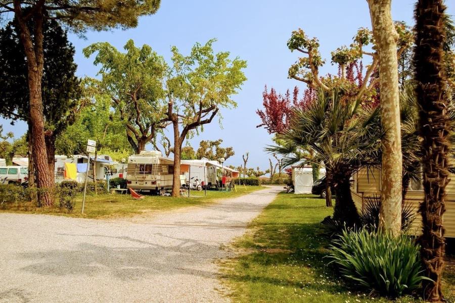 San Benedetto Vecchio Mulino Camping Village – foto 12