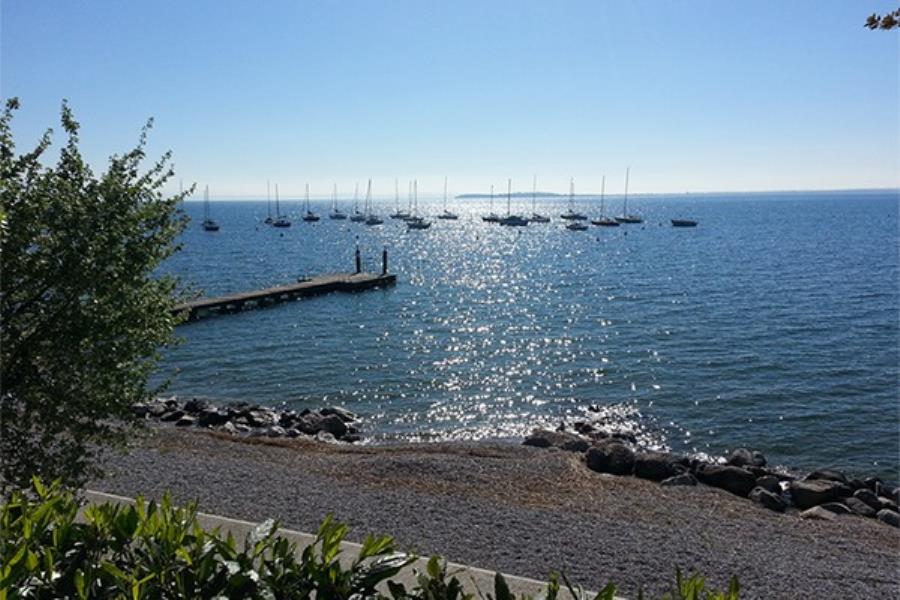 Campeggio San Michele  – Foto 1