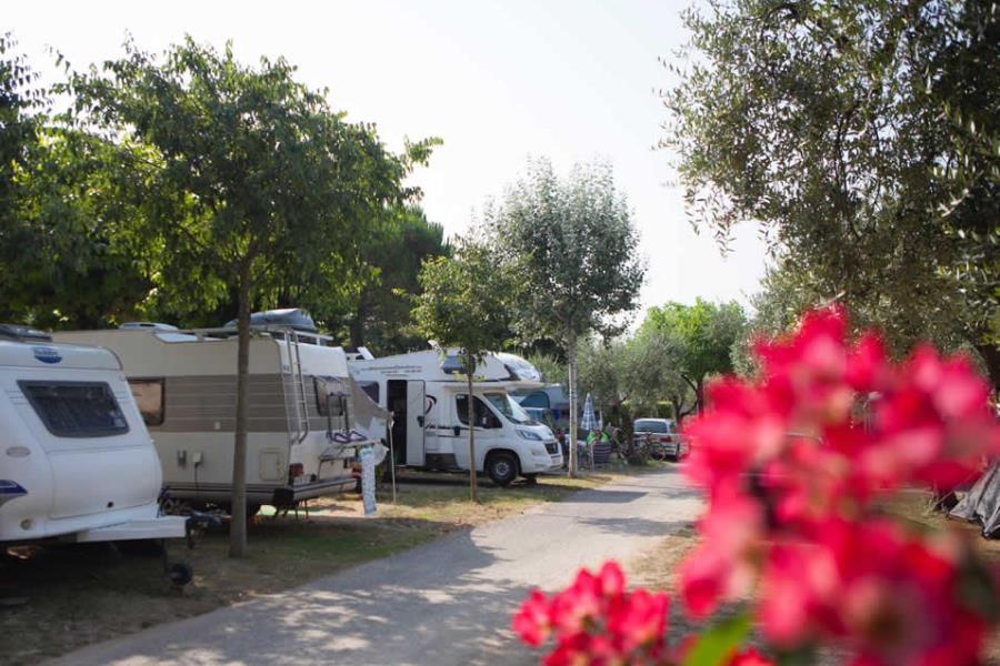 Camping Serenella – foto 9