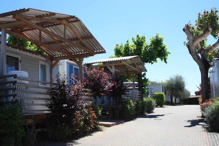 Camping Serenella – foto 4