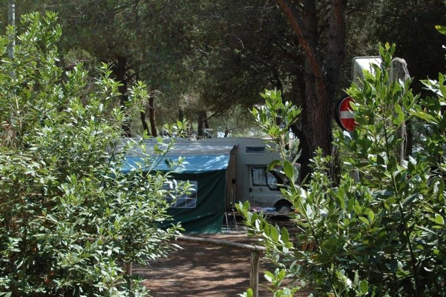 Camping Pionier Etrusco  – Foto 8