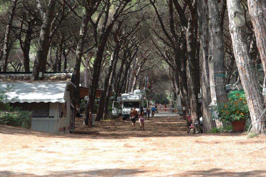 Camping Pionier Etrusco  – Foto 2
