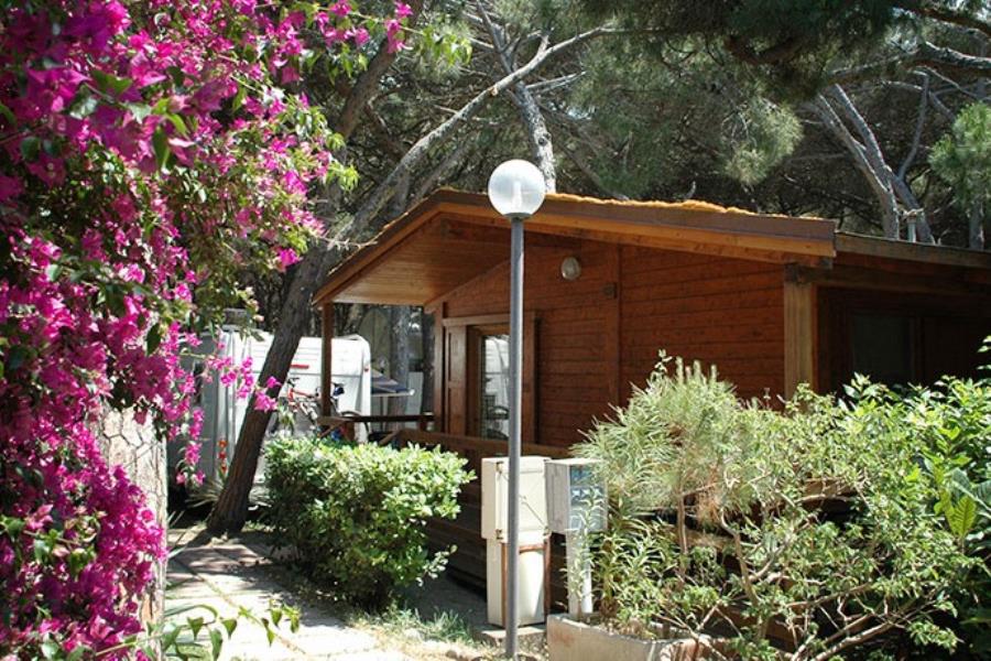 Camping Pionier Etrusco  – Foto 4