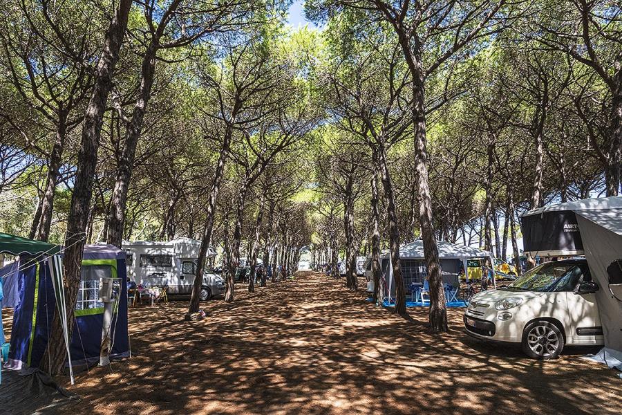 Camping Tuscia Tirrenica – foto 12