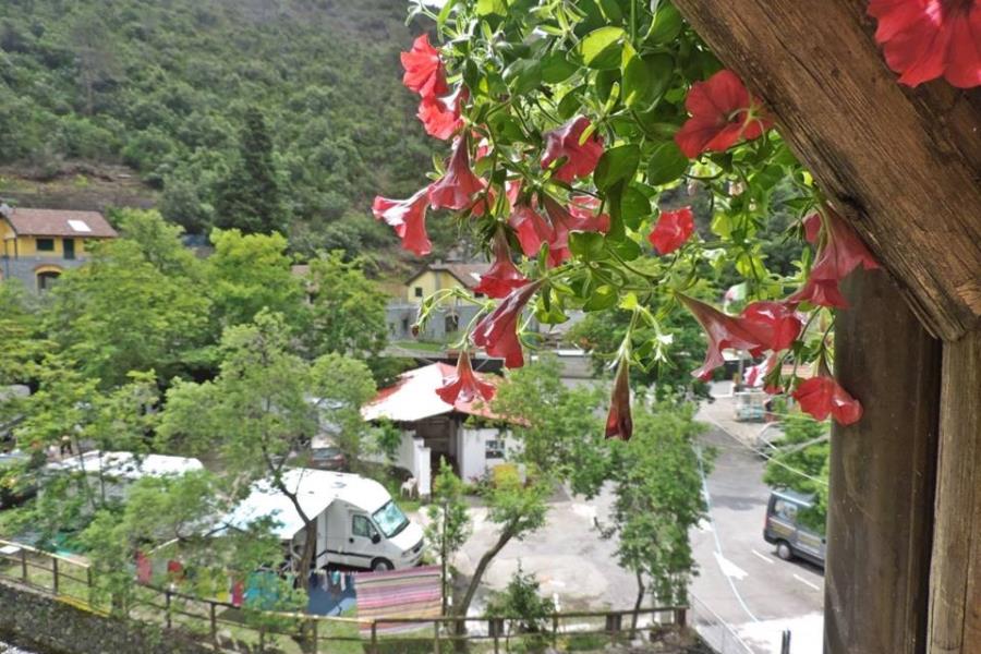 Camping Arenella  – photo 4