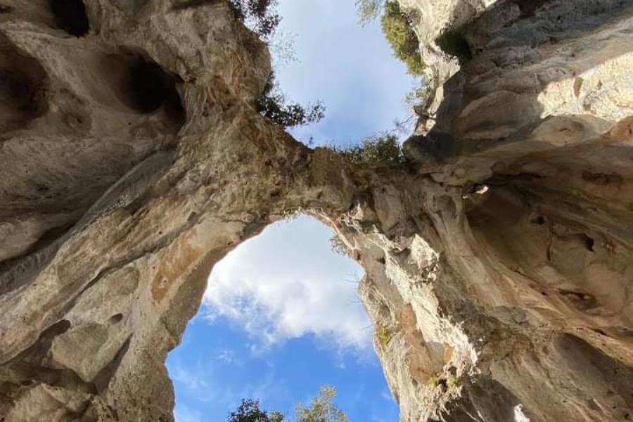 Camping dei Fiori  – Foto 17