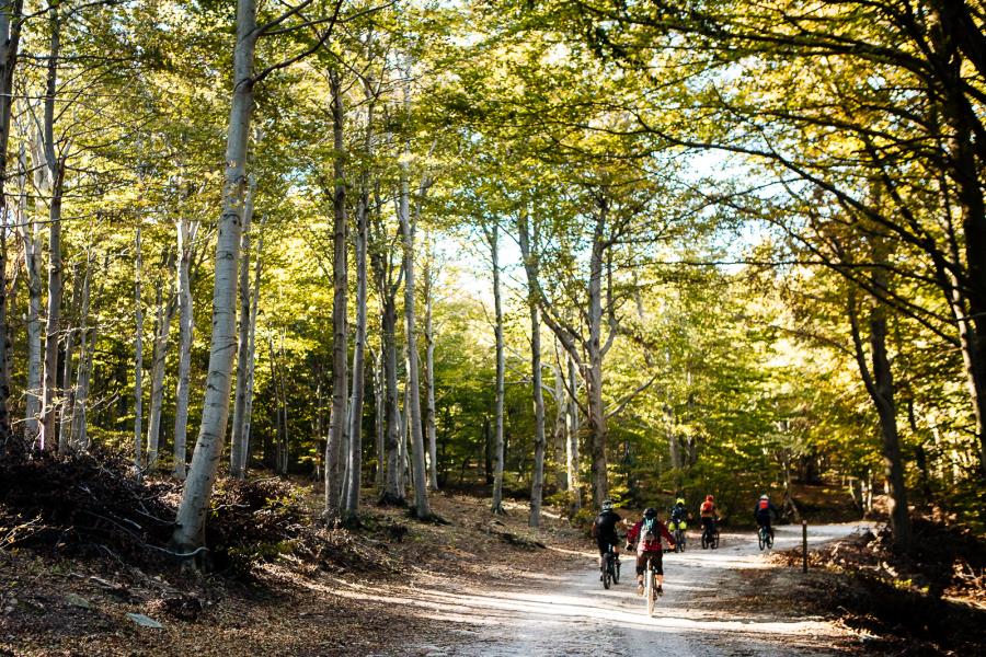 Camping dei Fiori  – Foto 19