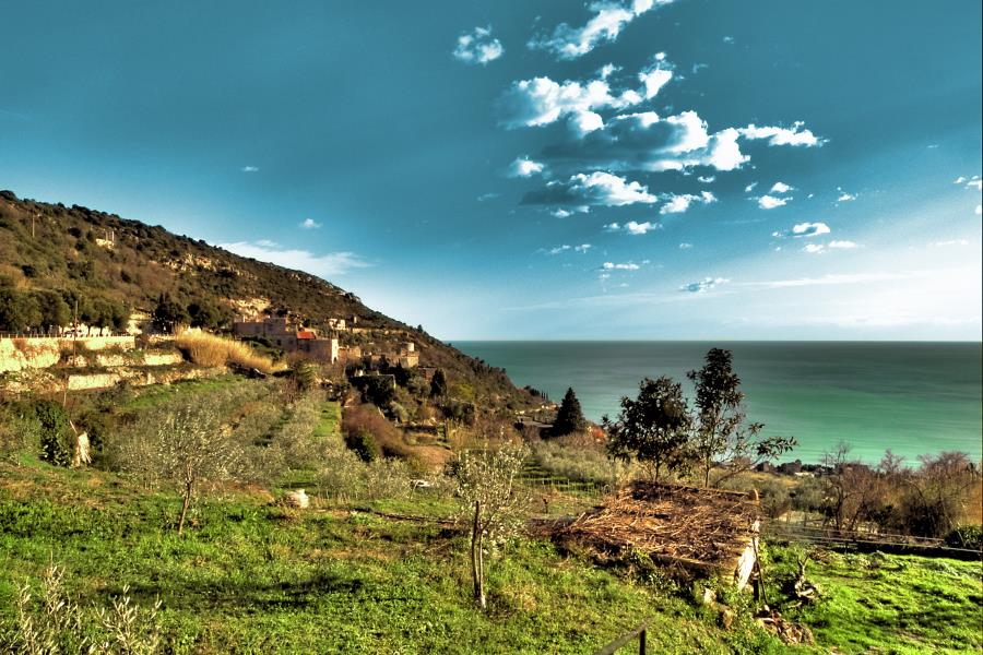 Camping dei Fiori  – Foto 4