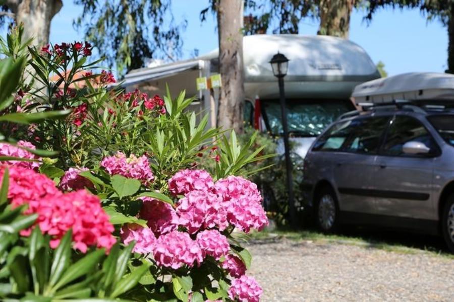Parco Vacanze De Wijnstok  – foto 4