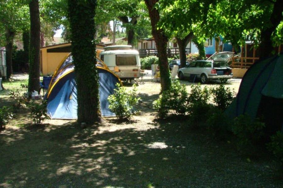Parco Vacanze De Wijnstok  – foto 5