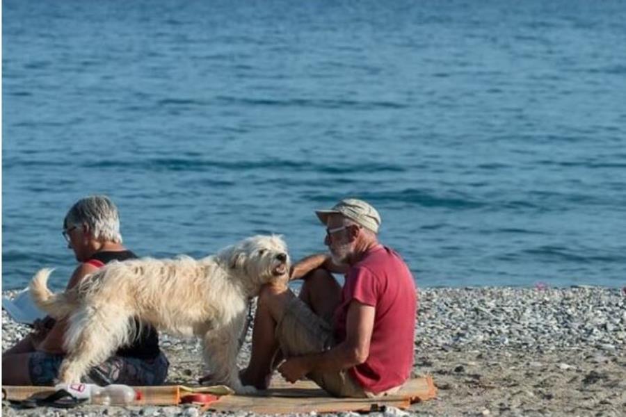 Parco per Vacanze Gallinara  – photo 9