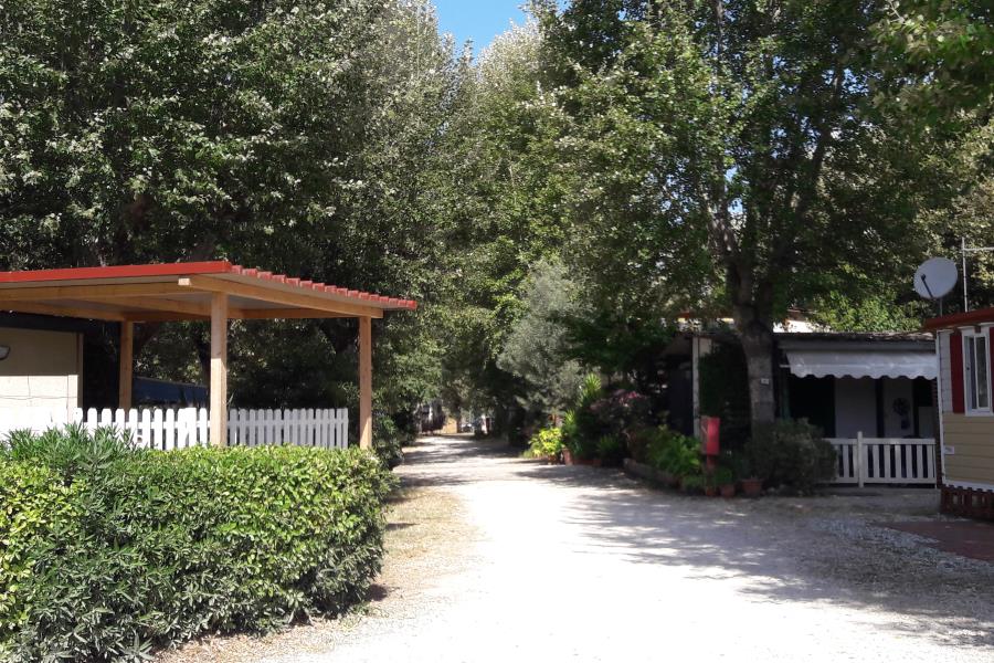 Campeggio Iron Gate Marina 3B  – foto 13