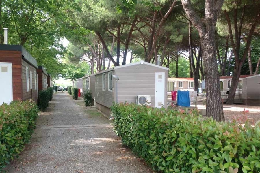 Camping River  – foto 3