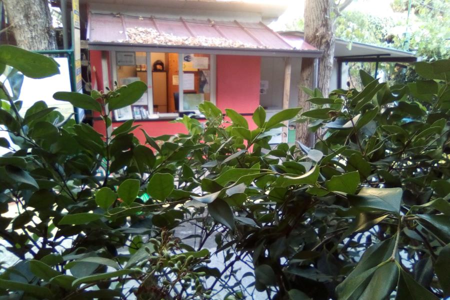 Santanna  Beach Camping & Resort – photo 10