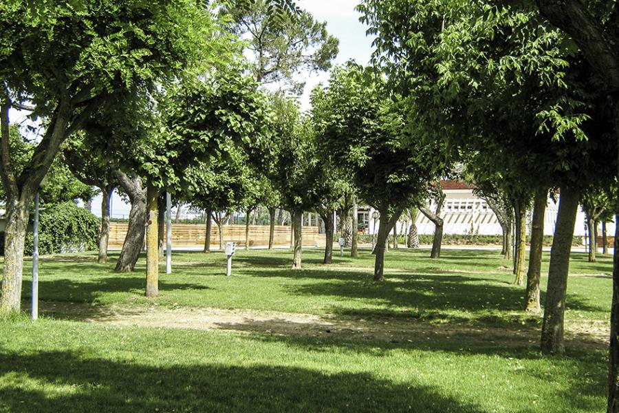 Villaggio Conero Azzurro  – Foto 20
