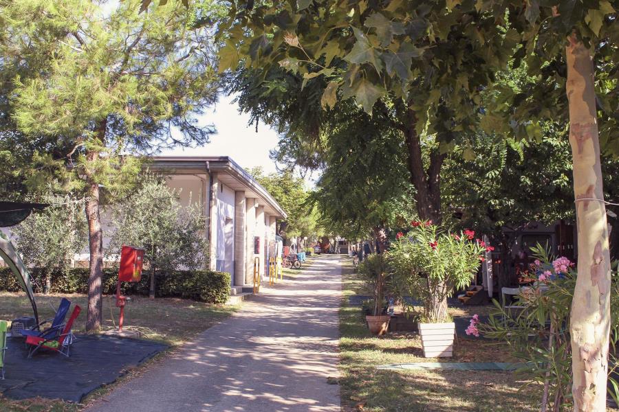 Camping Villaggio Il Frutteto – Foto 2