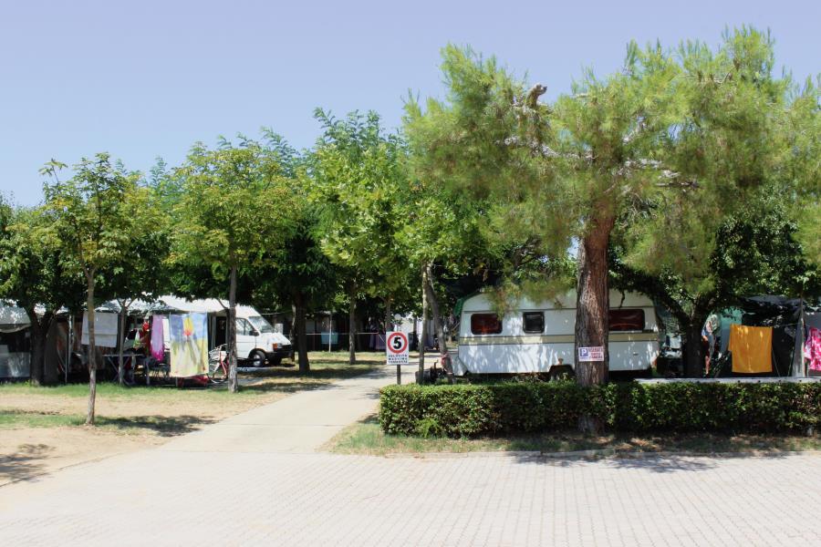 Camping Villaggio Il Frutteto – Foto 9