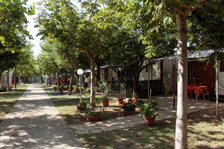 Camping Villaggio Il Frutteto – Foto 13