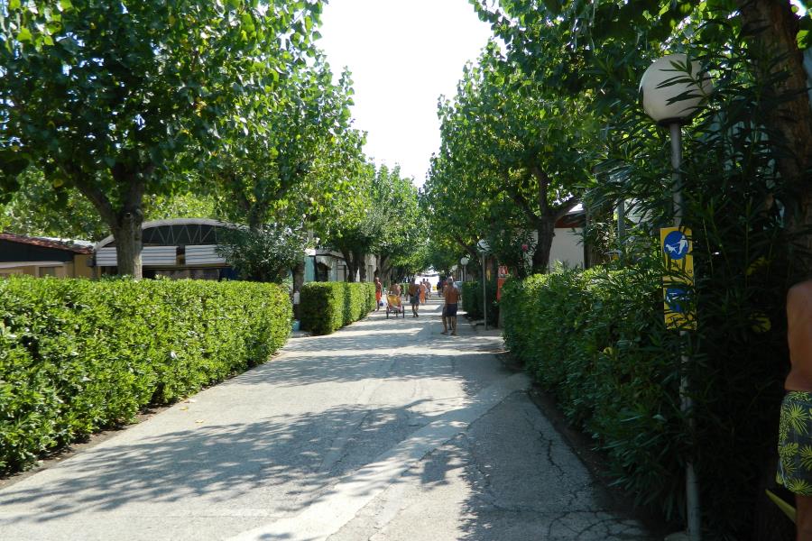 Camping Villaggio Turistico Johnny  – Foto 2