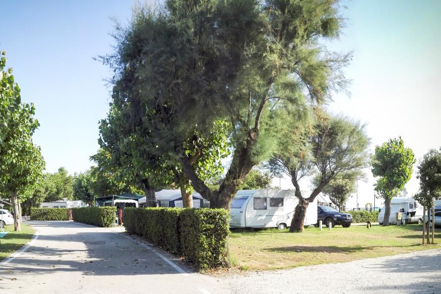 Villaggio Turistico  Le Mimose  – foto 4