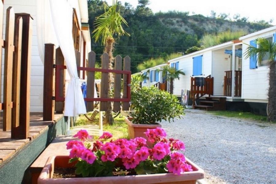 Camping Norina  – photo 2