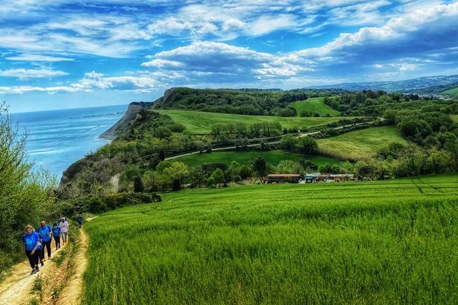 Camping Panorama – foto 12