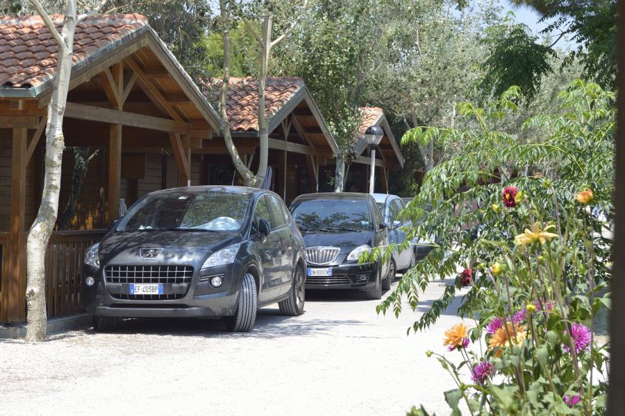 Camping Pineta – Foto 11