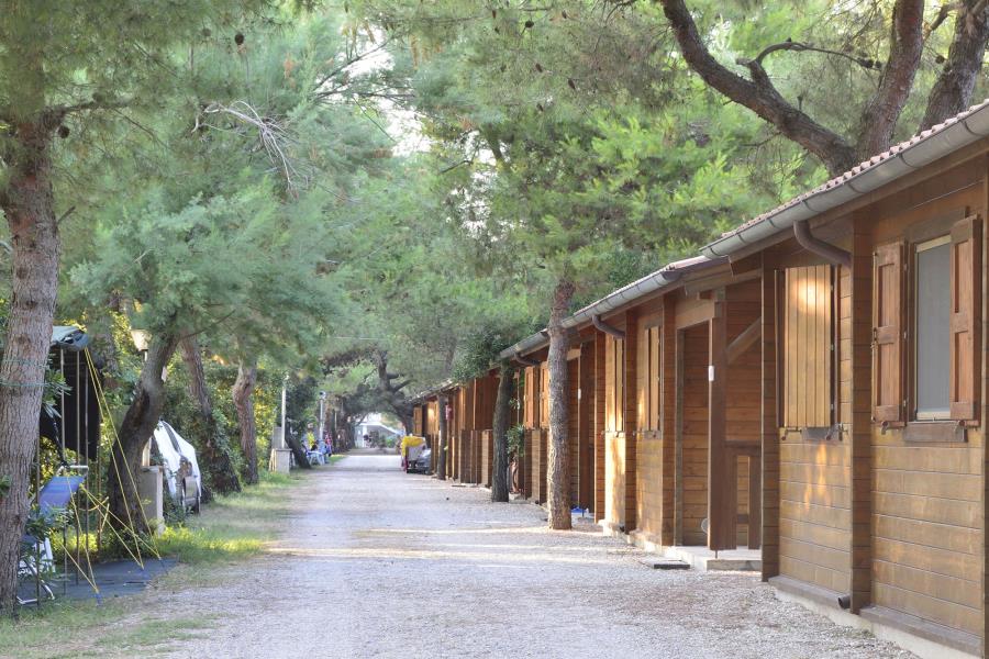 Camping Pineta – Foto 12