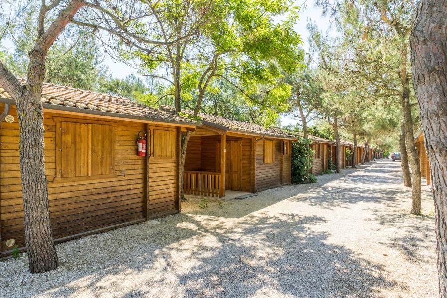 Camping Pineta – Foto 1