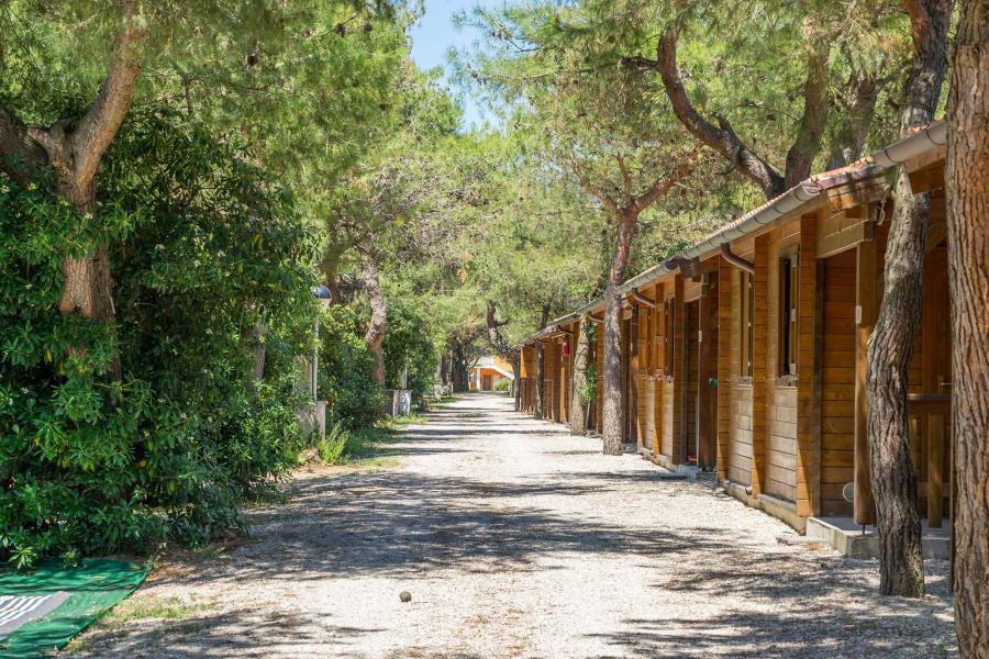 Camping Pineta – Foto 10
