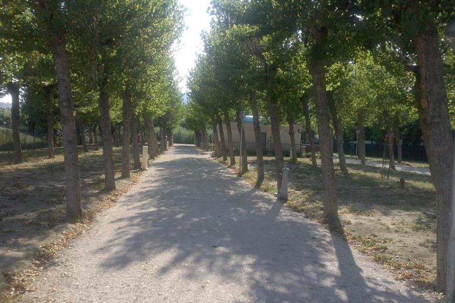 Camping 4 Cerchi  – Foto 2