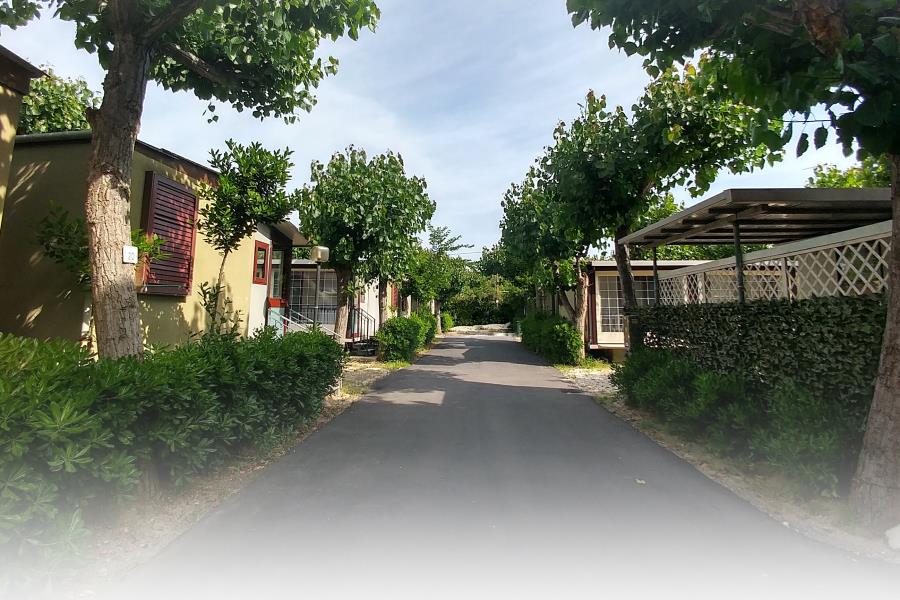 Camping 4 Cerchi  – Foto 13
