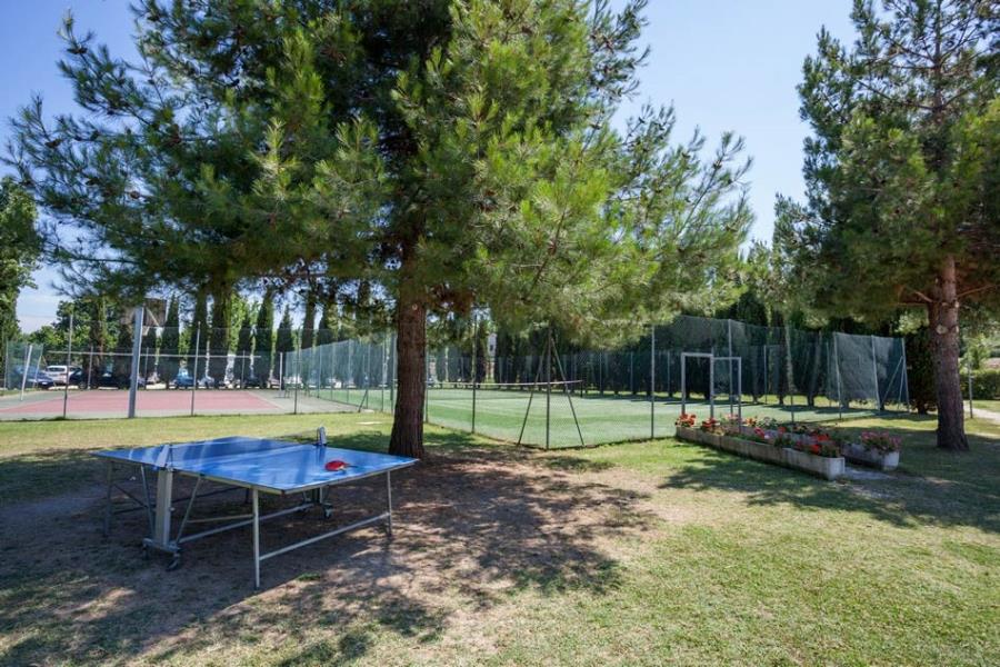 Camping Summerland  – Foto 5