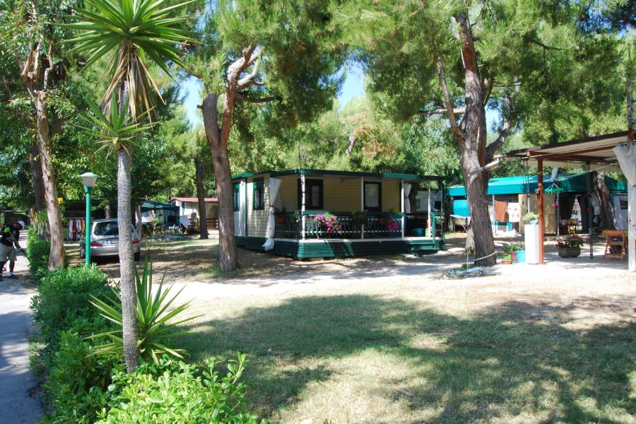 Camping Villaggio Verde Cupra  – photo 3