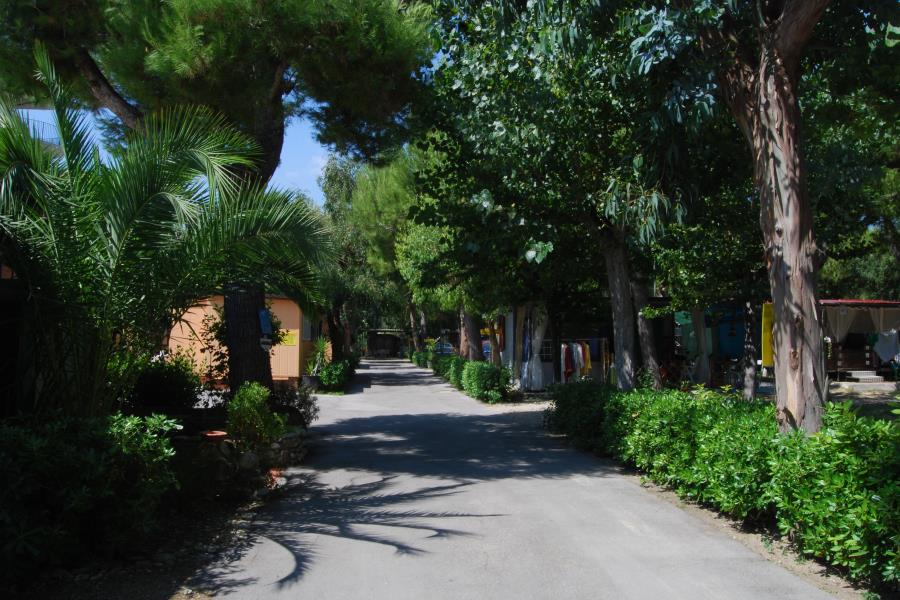 Camping Villaggio Verde Cupra  – photo 4