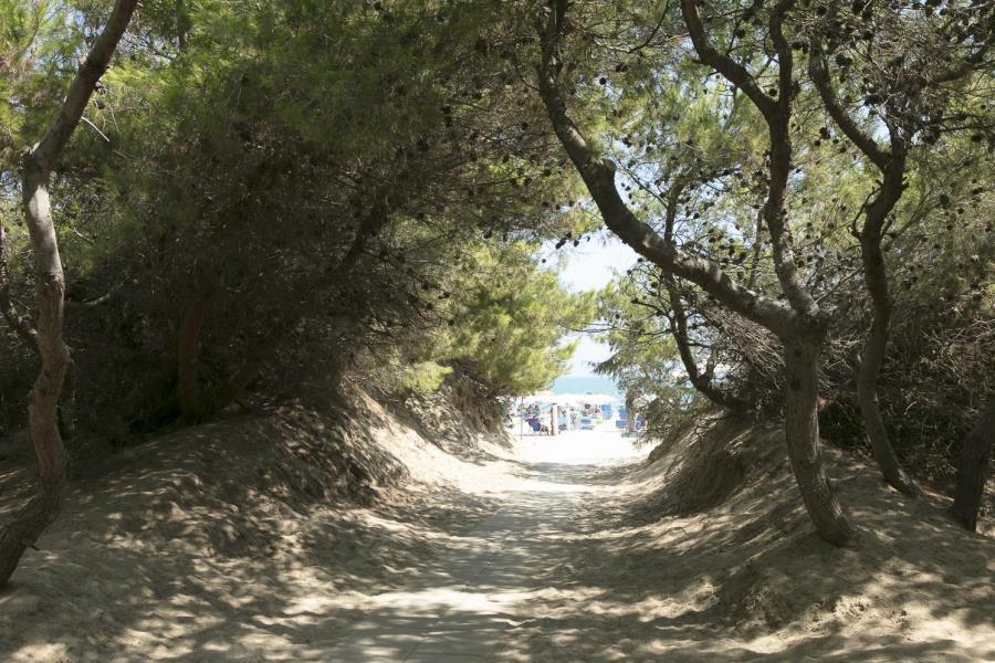 Camping Village Corrado  – foto 6